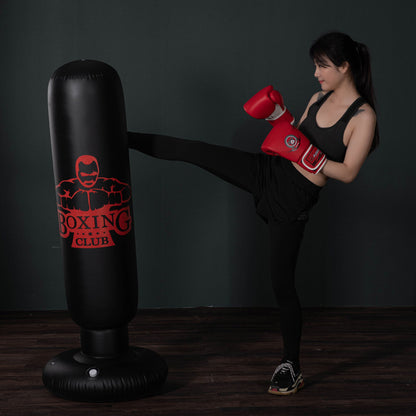 Free Standing Inflatable Punch Bag: Home Training