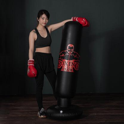 Free Standing Inflatable Punch Bag: Home Training